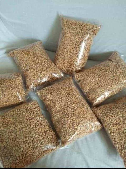 Kacang Kedelai